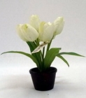 Chậu hoa tulip PS00255 
