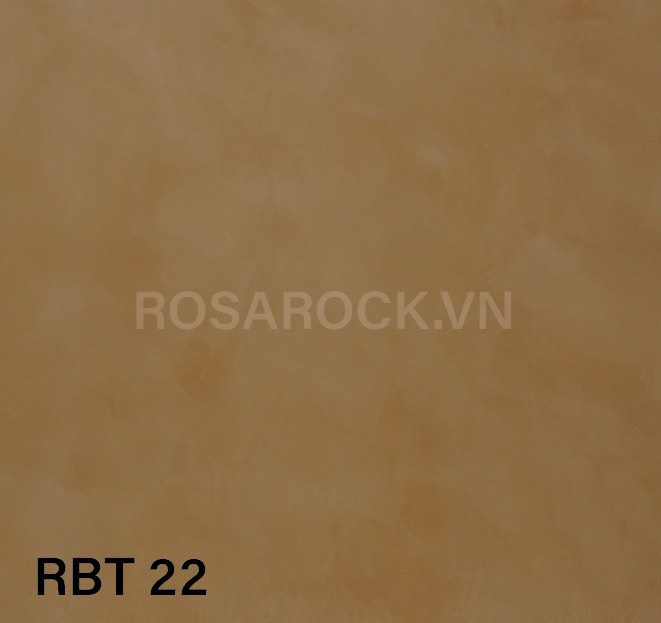 RBT 22