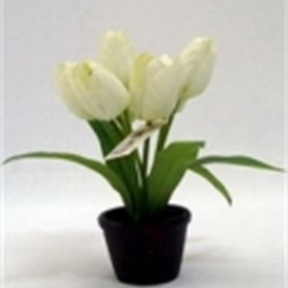 Chậu hoa tulip PS00255 