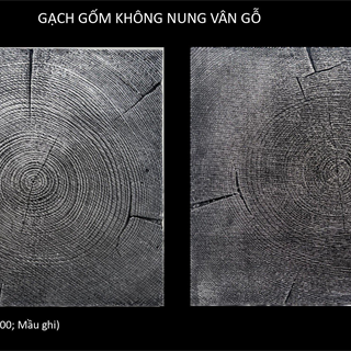 GẠCH GỐM KHÔNG NUNG VÂN GỖ 30.01