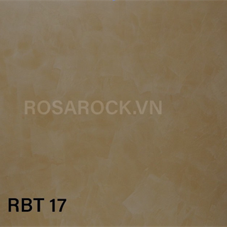 RBT 17