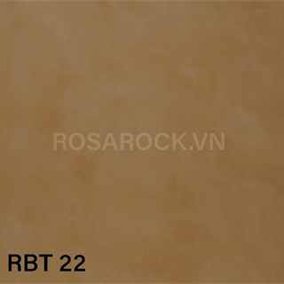 RBT 22