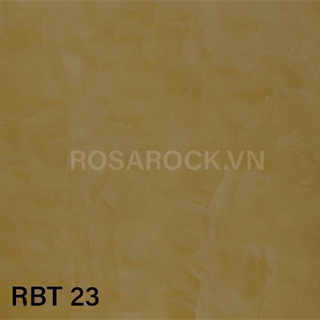 RBT 23